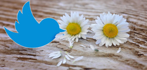 twitter-death