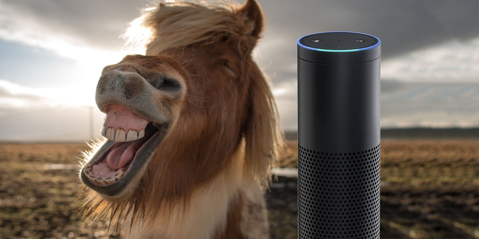 alexa-funny